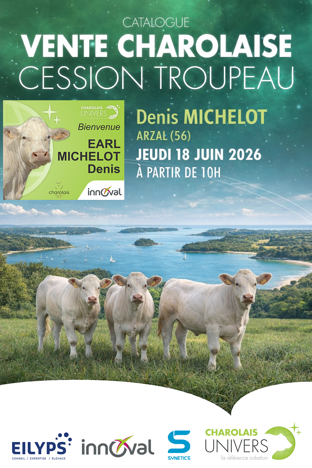 afiche vente aux enchères Denis Michelot