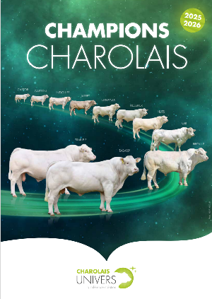 couv catalogue champions
