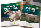 catalogues