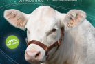Affiche 2026